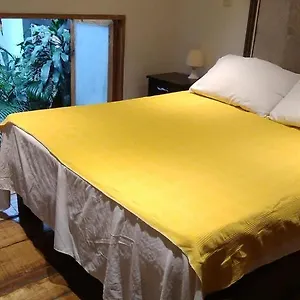 https://green-parrot-san-antonio.cali-hotels.com
