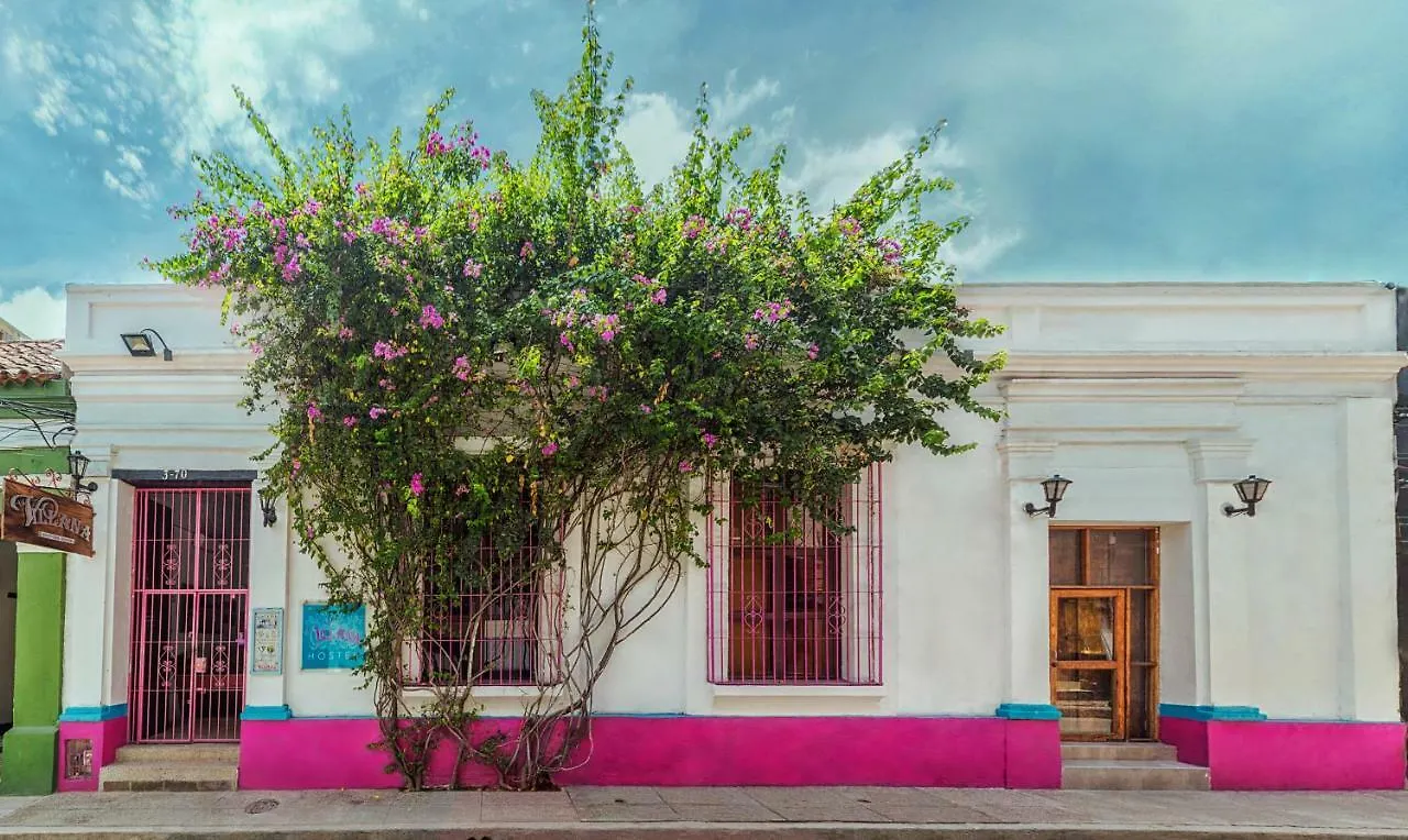 Aroha Villana Hostel Santa Marta  Colombia