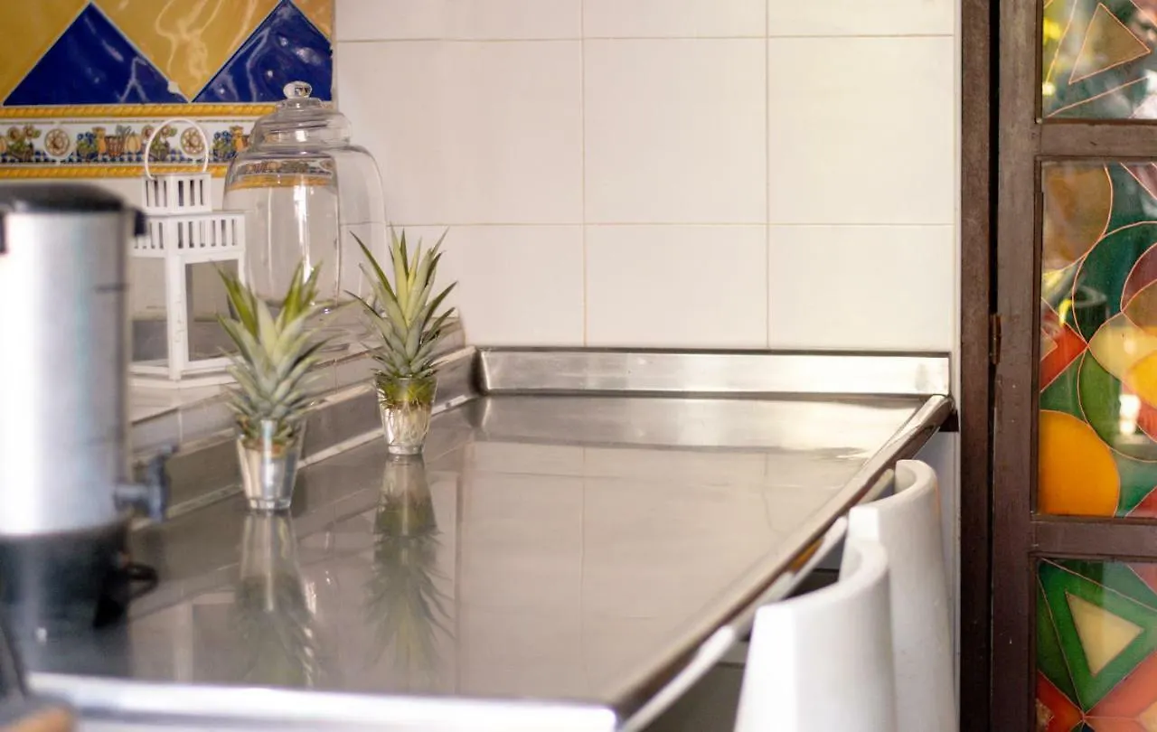 Aroha Villana Hostel Santa Marta  Colombia